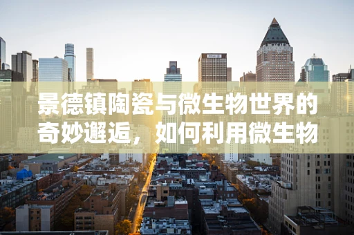 景德镇陶瓷与微生物世界的奇妙邂逅，如何利用微生物技术提升陶瓷釉料性能？