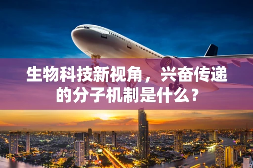 生物科技新视角，兴奋传递的分子机制是什么？