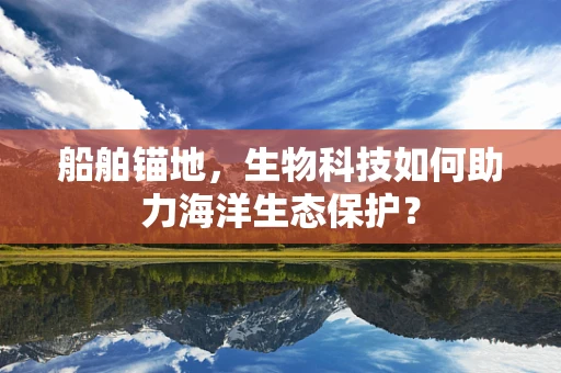 船舶锚地，生物科技如何助力海洋生态保护？
