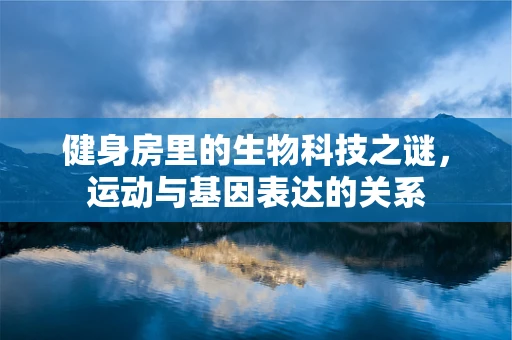 健身房里的生物科技之谜，运动与基因表达的关系