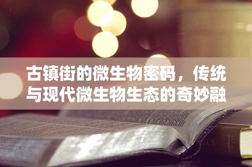 古镇街的微生物密码，传统与现代微生物生态的奇妙融合