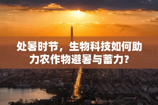 处暑时节，生物科技如何助力农作物避暑与蓄力？