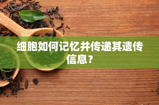 细胞如何记忆并传递其遗传信息？
