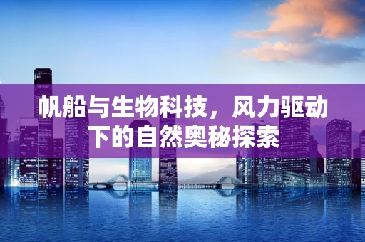 帆船与生物科技，风力驱动下的自然奥秘探索