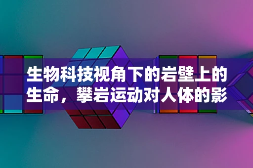 生物科技视角下的岩壁上的生命，攀岩运动对人体的影响