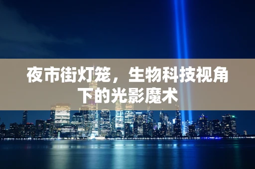 夜市街灯笼，生物科技视角下的光影魔术
