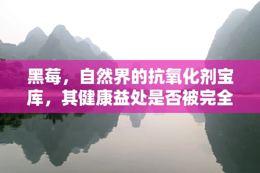 黑莓，自然界的抗氧化剂宝库，其健康益处是否被完全发掘？