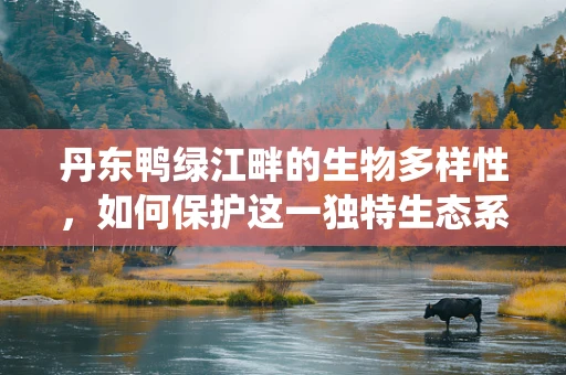 丹东鸭绿江畔的生物多样性，如何保护这一独特生态系统的未来？