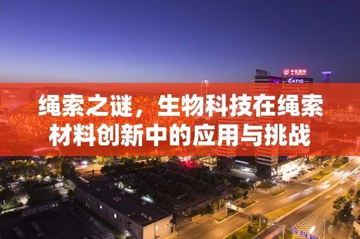 绳索之谜，生物科技在绳索材料创新中的应用与挑战