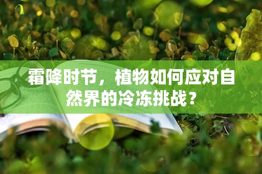 霜降时节，植物如何应对自然界的冷冻挑战？
