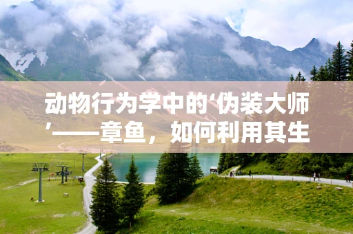 动物行为学中的‘伪装大师’——章鱼，如何利用其生物特性在海洋中生存？