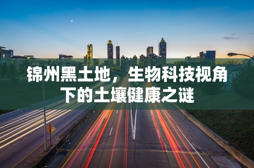 锦州黑土地，生物科技视角下的土壤健康之谜