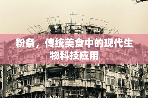 粉条，传统美食中的现代生物科技应用