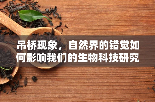 吊桥现象，自然界的错觉如何影响我们的生物科技研究？