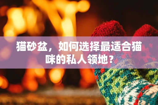 猫砂盆，如何选择最适合猫咪的私人领地？
