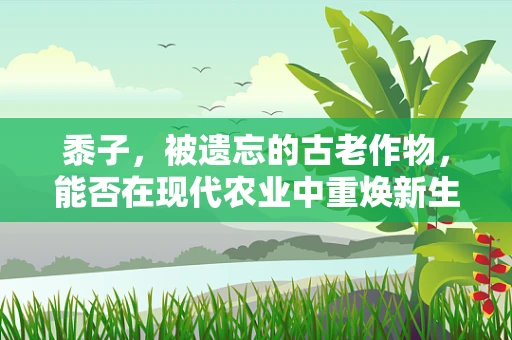 黍子，被遗忘的古老作物，能否在现代农业中重焕新生？