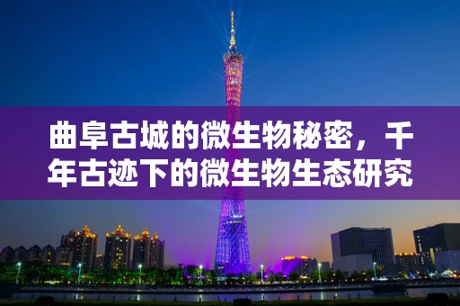 曲阜古城的微生物秘密，千年古迹下的微生物生态研究