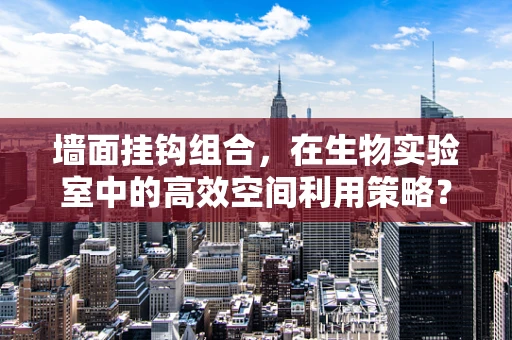 墙面挂钩组合，在生物实验室中的高效空间利用策略？