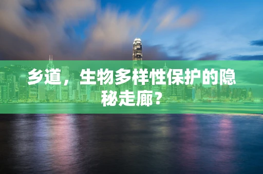 乡道，生物多样性保护的隐秘走廊？
