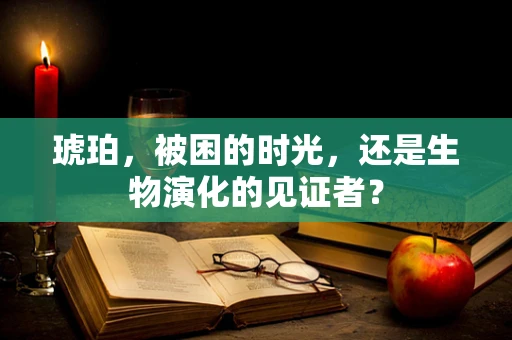 琥珀，被困的时光，还是生物演化的见证者？