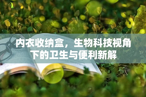 内衣收纳盒，生物科技视角下的卫生与便利新解