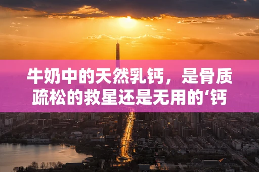 牛奶中的天然乳钙，是骨质疏松的救星还是无用的‘钙’？