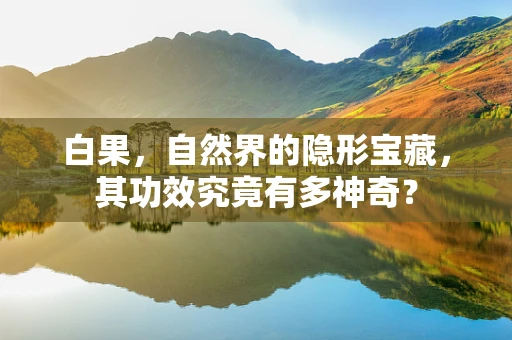 白果，自然界的隐形宝藏，其功效究竟有多神奇？