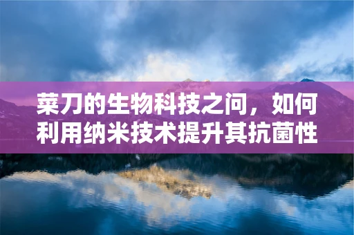 菜刀的生物科技之问，如何利用纳米技术提升其抗菌性能？