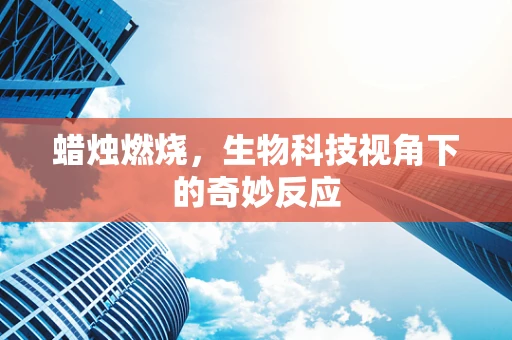 蜡烛燃烧，生物科技视角下的奇妙反应