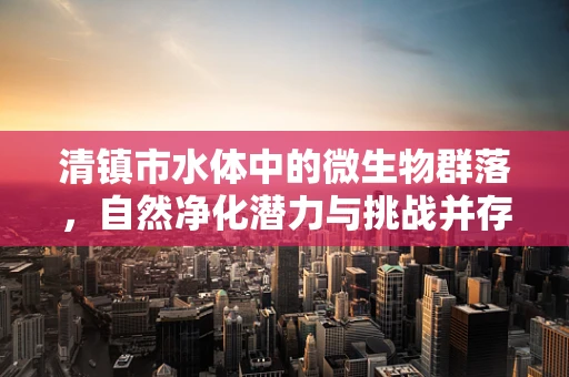 清镇市水体中的微生物群落，自然净化潜力与挑战并存？