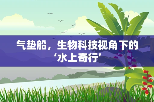 气垫船，生物科技视角下的‘水上奇行’
