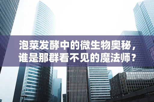 泡菜发酵中的微生物奥秘，谁是那群看不见的魔法师？