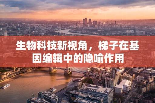 生物科技新视角，梯子在基因编辑中的隐喻作用