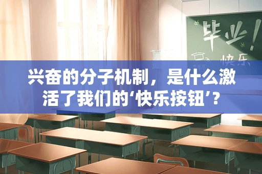 兴奋的分子机制，是什么激活了我们的‘快乐按钮’？