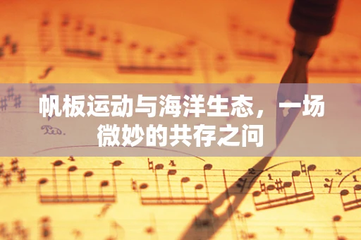 帆板运动与海洋生态，一场微妙的共存之问
