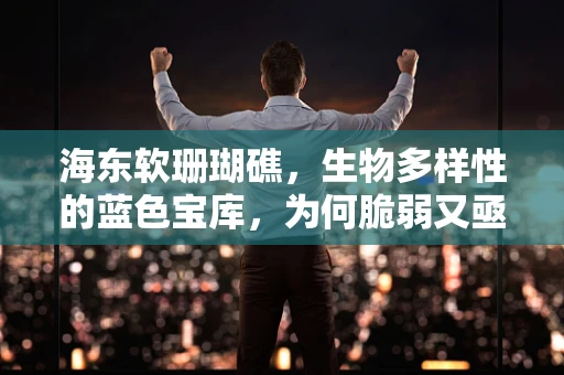海东软珊瑚礁，生物多样性的蓝色宝库，为何脆弱又亟待保护？