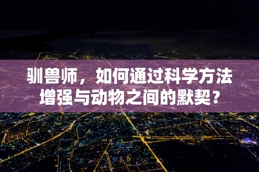 驯兽师，如何通过科学方法增强与动物之间的默契？
