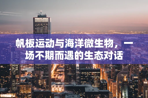 帆板运动与海洋微生物，一场不期而遇的生态对话