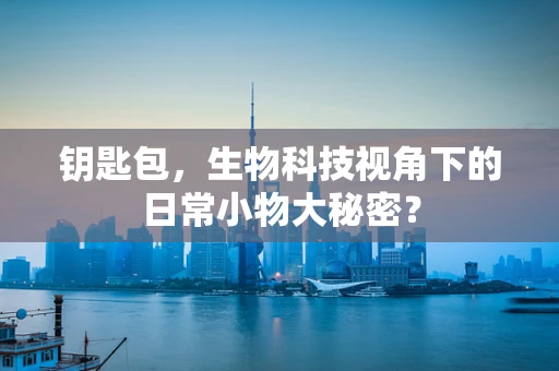 钥匙包，生物科技视角下的日常小物大秘密？