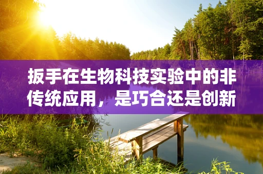 扳手在生物科技实验中的非传统应用，是巧合还是创新工具？