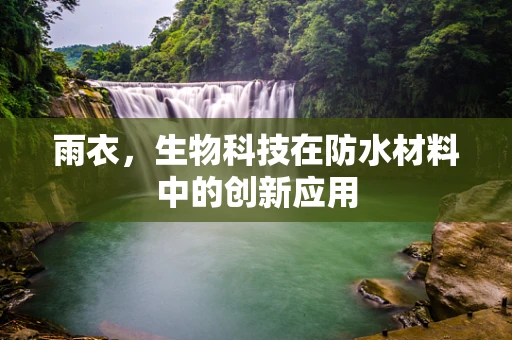 雨衣，生物科技在防水材料中的创新应用