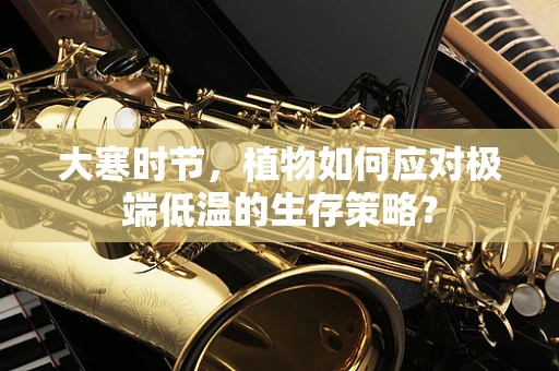 大寒时节，植物如何应对极端低温的生存策略？