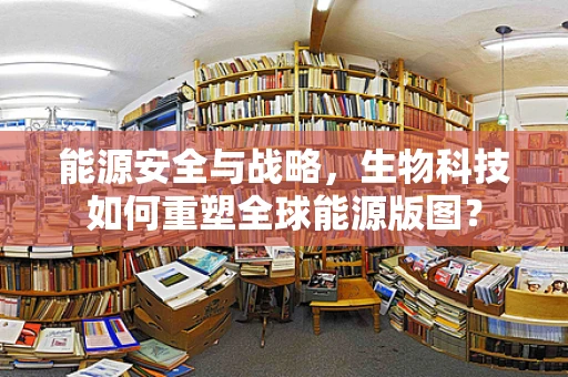能源安全与战略，生物科技如何重塑全球能源版图？