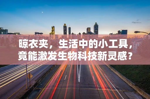 晾衣夹，生活中的小工具，竟能激发生物科技新灵感？