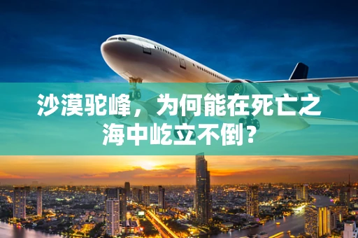 沙漠驼峰，为何能在死亡之海中屹立不倒？