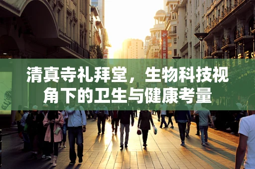清真寺礼拜堂，生物科技视角下的卫生与健康考量