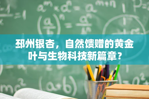 邳州银杏，自然馈赠的黄金叶与生物科技新篇章？