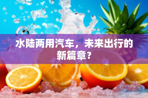 水陆两用汽车，未来出行的新篇章？