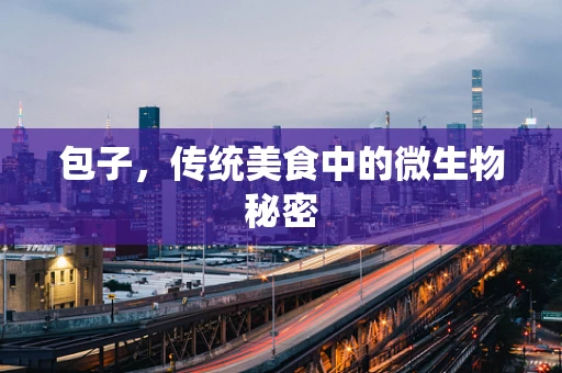 包子，传统美食中的微生物秘密