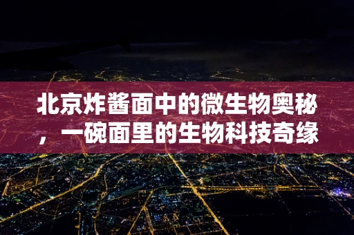 北京炸酱面中的微生物奥秘，一碗面里的生物科技奇缘